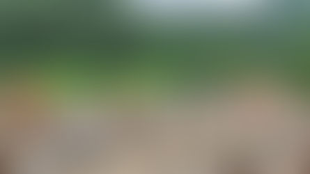 비 그치자 실종자 속속 발견…충남 아산, 충북 충주서 1명씩 발견