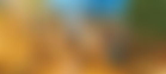 한인타운은 거대한 ‘포장마차’