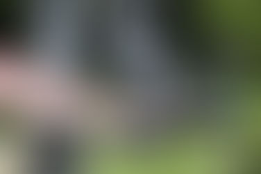 안전하다는 등산·골프 가서 무더기 확진…다 이유가 있었다