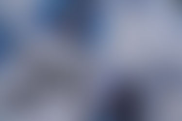 상상도 못할 부양책... 美상하원 장악 민주, 바로 돈 뿌릴 듯