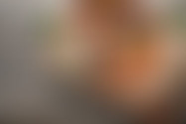 "버섯 섭취가 노인성질환 위험 낮춘다"