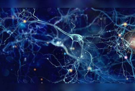 "산소를 끊어 서서히 죽인다"…코로나, 이렇게 뇌 공격한다