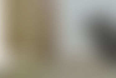 "집 나가 혼자 살아라" 화난다며, 아내 찌른 70대 중국동포