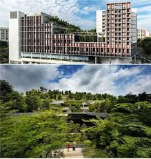 [더오래]일본·싱가포르에 세대공존형 노인 주거단지 눈길