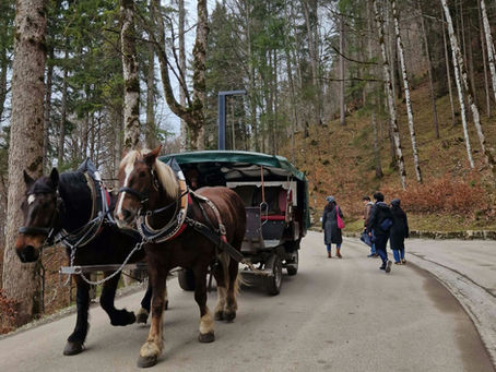 5 giorni on the road: Monaco di Baviera, Dachau, castelli della Baviera e Salisburgo