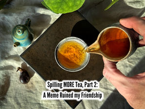 Spilling MORE Tea, Part 2: A Meme Ruined My Friendship