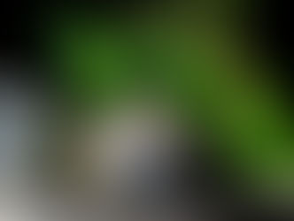 Top 7 Closed Tea Companies that SHOULD Make a Comeback!