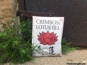 Follow the Jade Rabbit