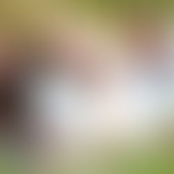 La familia: Una institución vital para el bienestar