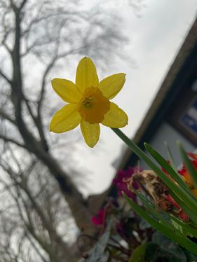 WhatsApp Image 2022-03-16 at 7.45.36 PM.jpeg