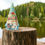Thumbnail: Jim Shore Heartwood Creek 14.5in Gardening Gnome Figurine Indoor Outdoor 6010291