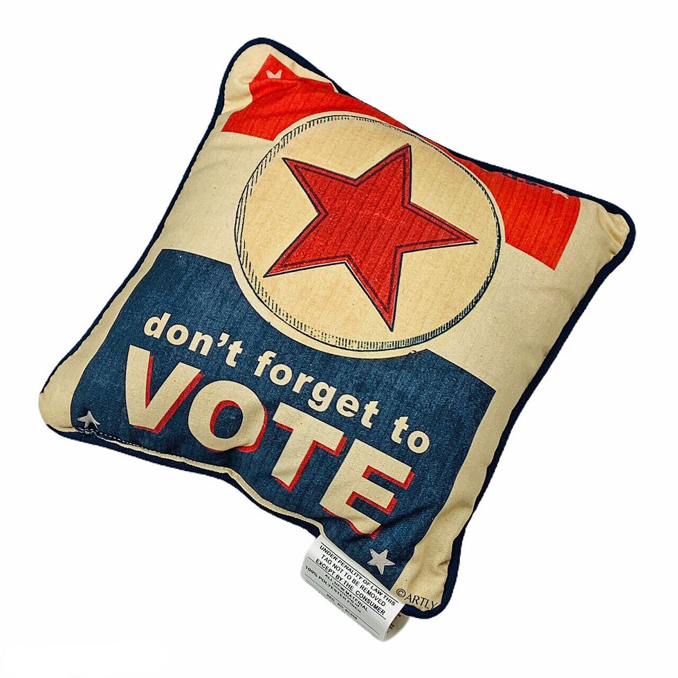 Don't Forget to Vote Election Day in America Vintage Inspired 12" Toss Pillow