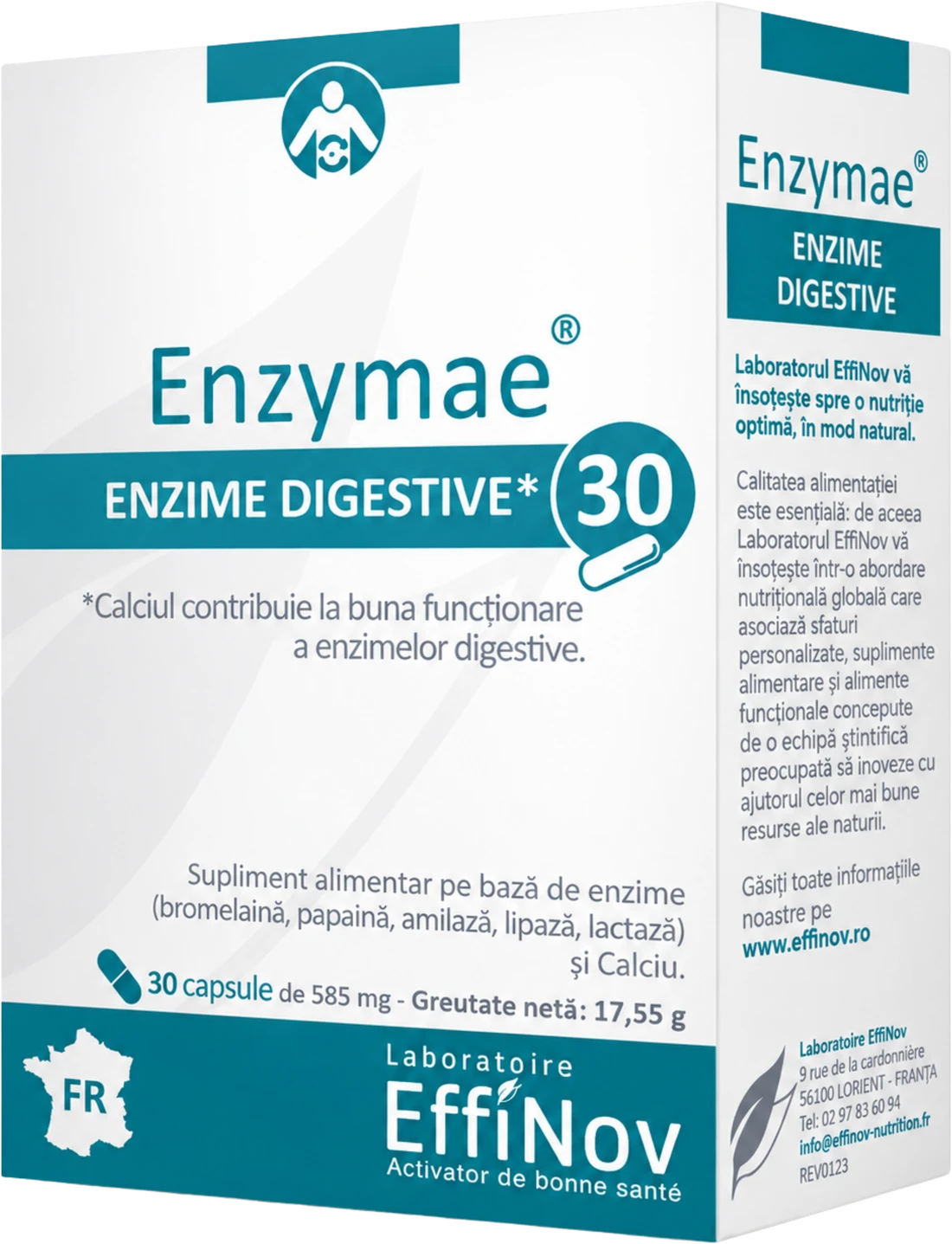 Enzymae