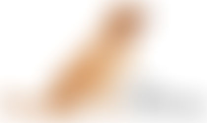 OPERATORE CONSAPEVOLE