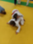 dernière séances judo classe cp ce1 école privée Nevers Sainte-Julitte