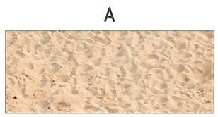 sable SA 06.JPG