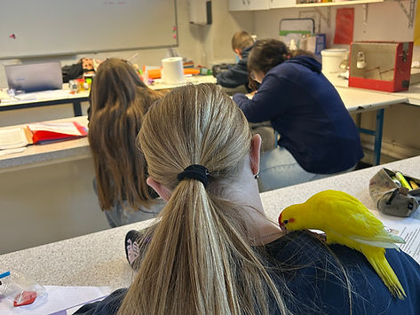 salle de science collège prive la source Lugny 71 avec internat