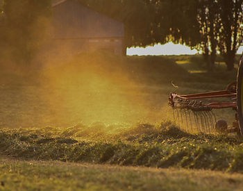 Fauche de l'ensilage d'herbe 