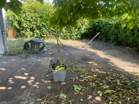 avant débarras maison avec meubles et encombrants Montchanin chantier réalisé par professionnel du débarras à Saint-Eusèbe