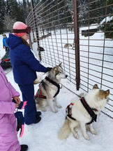 matinée ski et chien traineaux ecole privee tournus 71 1.jpeg