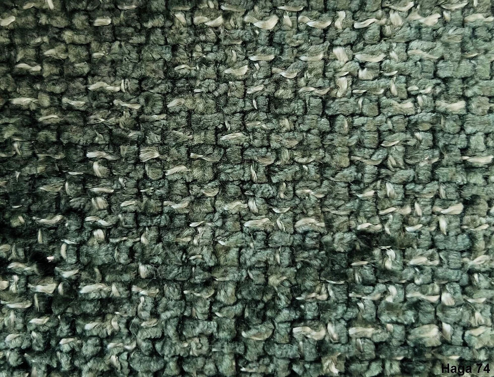Miniature : HAGA