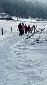 matinée ski et chien traineaux ecole privee tournus 71 8.jpeg