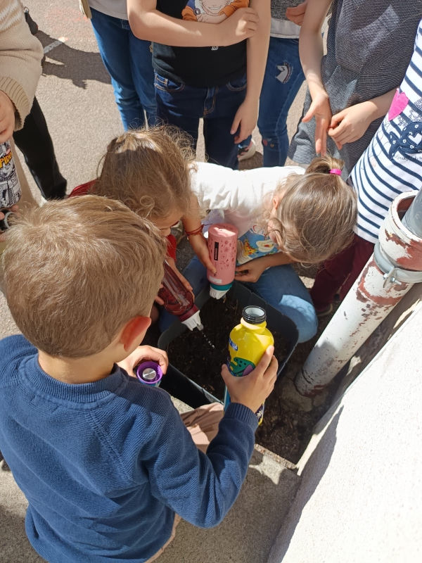 projet jardinage classe cp ce1 ecole privee sainte julitte a nevers (11).jpg