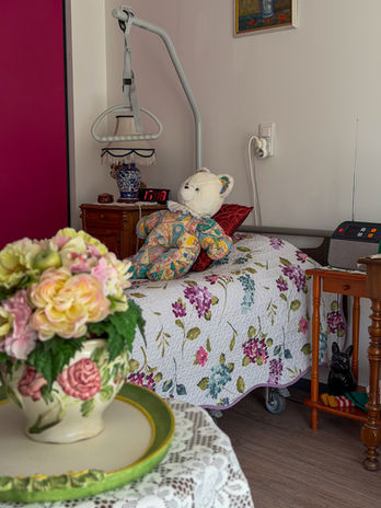 Appartements résidence séniors services les Hirondelles à Chalon-sur-Saône 71100