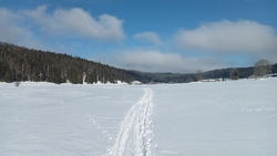 matinée ski et chien traineaux ecole privee tournus 71 6.jpeg