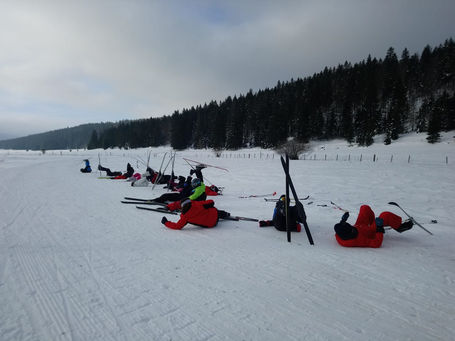 séance ski de fond  chien de traîneau des raquettes classe CM2 Tournus 71 (2).jpeg