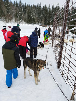 matinée ski et chien traineaux ecole privee tournus 71 3.jpeg