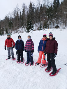 séance ski de fond  chien de traîneau des raquettes classe CM2 Tournus 71 (7).jpeg