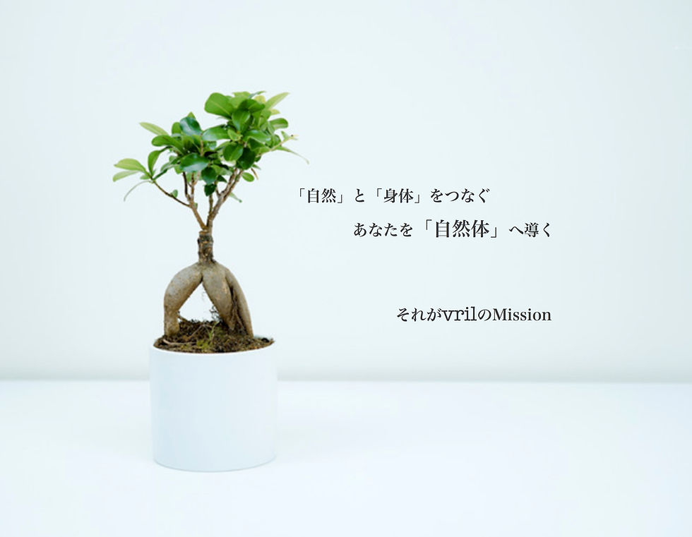 トップ画像最新です.jpg