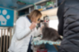 hanna and cat.jpeg