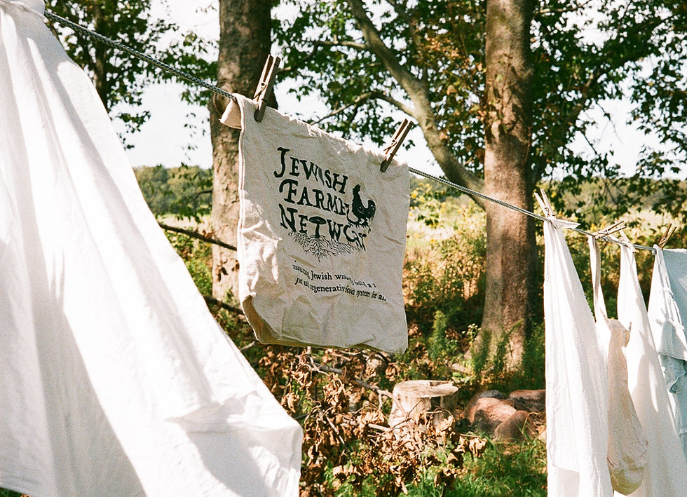 78740027 (1)_edited.jpg