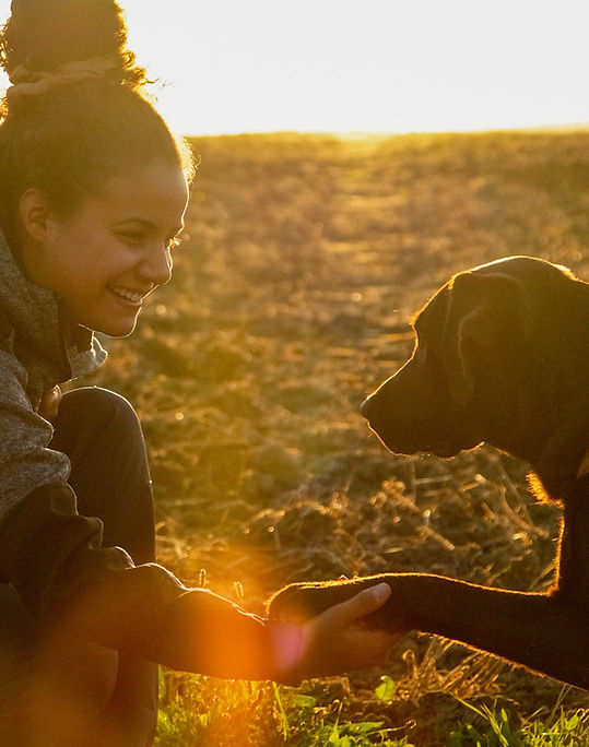 relation humain chien