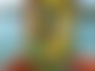 videocall op het strand van Koh Kood voor alle vragen over jouw reis naar Thailand