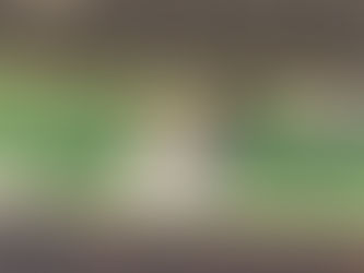 Persoonlijk reisadvies Thailand – Klantgesprek via videocall