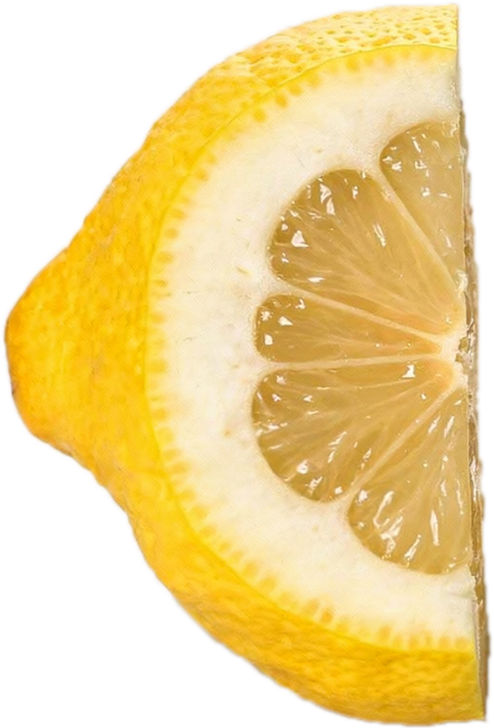 zitrone-links-halb.png