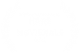 3rd Place Audience Award - HARZ MOVIENALE - 2023(1).png