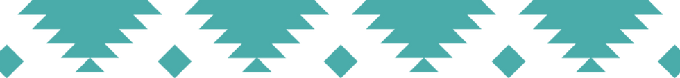 NativeAlliance_Assets_1.14.26_pattern_blue.png