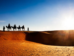 Camel Caravan on sand dunes in desert
