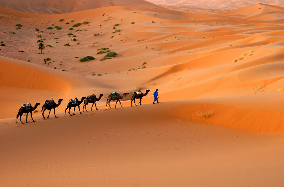 A line of camels carrying travelers crosses the orange sand dunes of Erg Chebbi in Morocco, with a guide walking alongside them under a clear sky.
