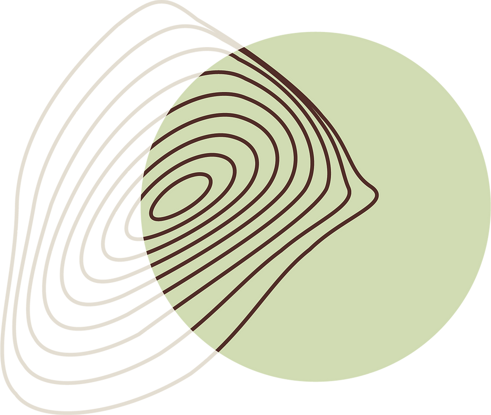 ICON01.png