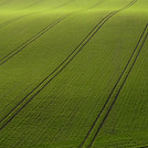 Arial View of Green Field