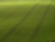 Arial View of Green Field