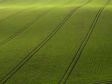 Opinião de Arial do campo verde