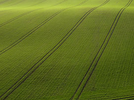 Arial View of Green Field