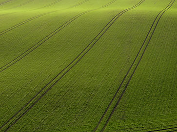 Opinião de Arial do campo verde