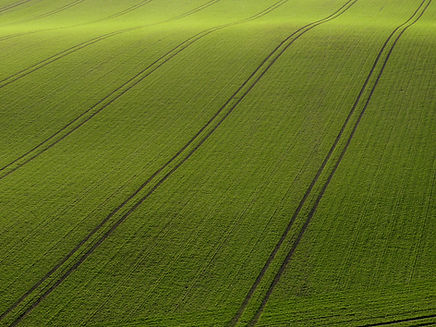 Arial vista di Green Field